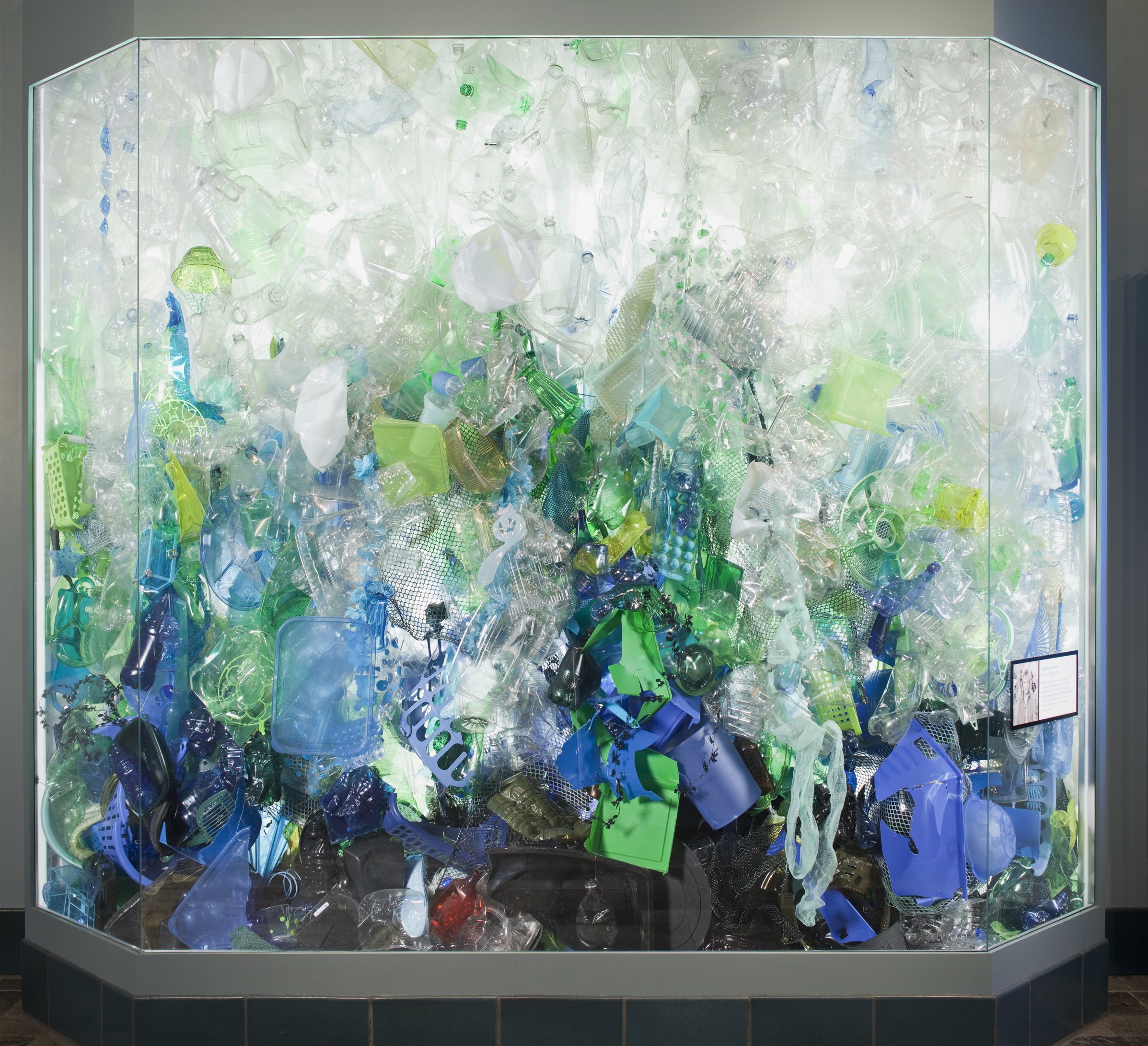 To the Depths 2012 recycled plastic, monofilament 24x24ft (Monterey Bay Aquarium, California)